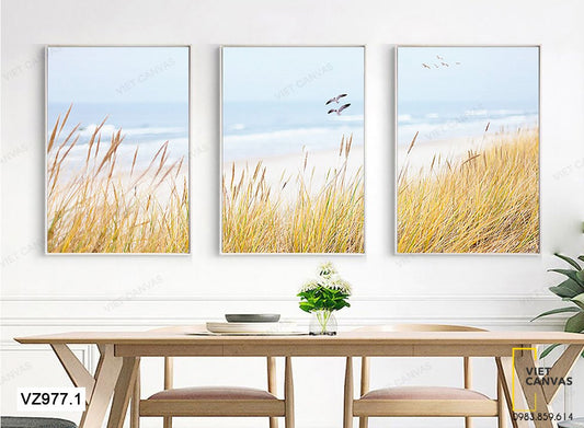 Bộ 3 Tranh Bông Lau Bên Bờ Biển - VZ977.1