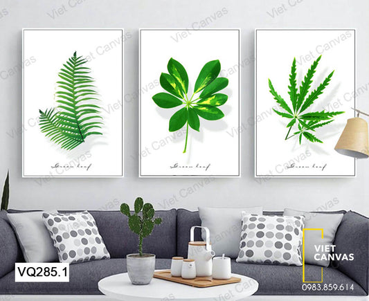 Bộ 3 Tranh Lá Cây - VQ285.1