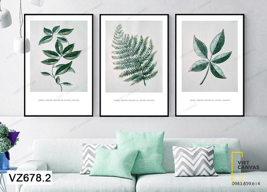 Bộ 3 Tranh Lá Cây Tươi Mát - VZ678.2