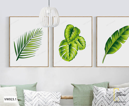 Bộ 3 Tranh Lá Cây Xanh - VW923.1