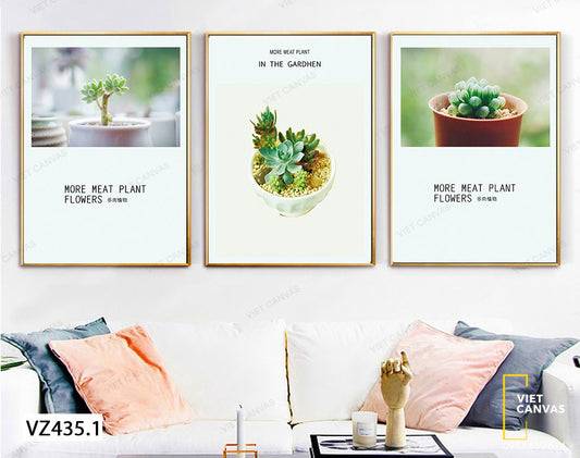 Bộ 3 Tranh Những Chậu Sen Đá Tí Hon - VZ435.1