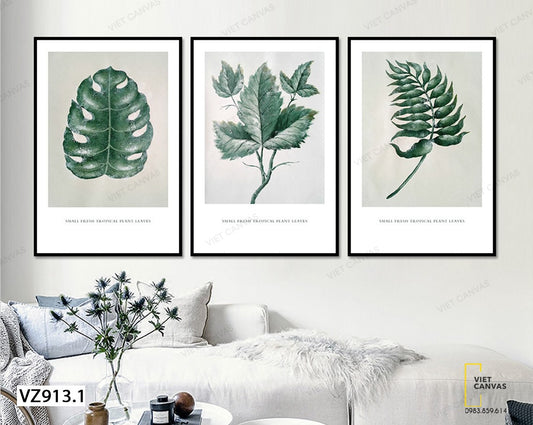 Bộ 3 Tranh Những Chiếc Lá Xanh - VZ913.1