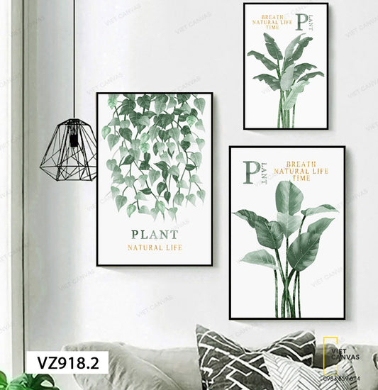 Bộ 3 Tranh Lá Cây Xanh - VZ918.2