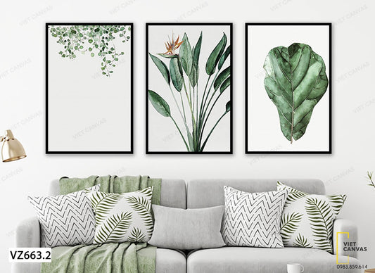 Bộ 3 Tranh Sắc Xanh Lá Cây - VZ663.2
