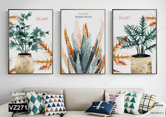 Bộ 3 Tranh Chậu Cây Xanh Và Lô Hội - VZ271