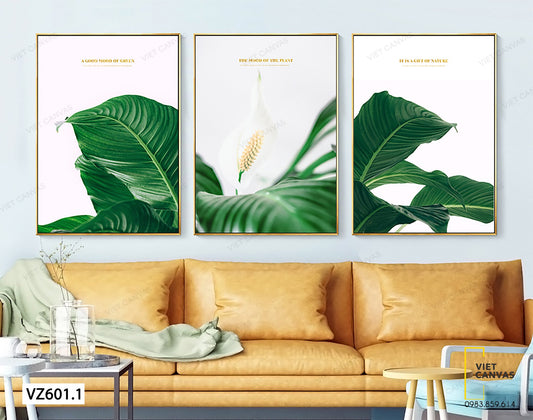 Bộ 3 Tranh Tàu Lá Chuối Xanh - VZ601.1