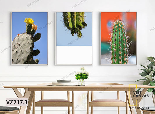 Bộ 3 Tranh Vẻ Đẹp Gai Góc Của Xương Rồng - VZ217.3