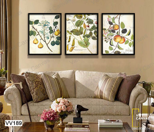 Bộ 3 Tranh Vườn Trái Cây - VV189