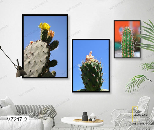 Bộ 3 Tranh Xương Rồng Trên Sa Mạc - VZ217.2