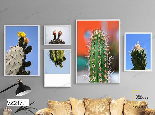 Bộ 5 Tranh Xương Rồng Nở Hoa - VZ217.1
