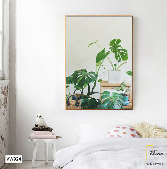 Tranh Những Chậu Cây Xanh - VW924