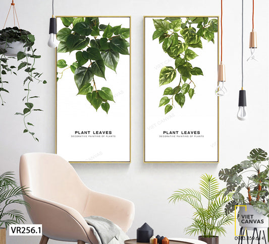 Bộ 2 Tranh Lá Cây Xanh - VR256.1