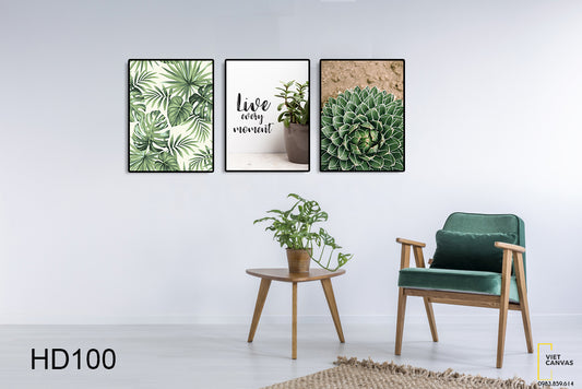 Bộ 3 Tranh Sen Đá, Lá Cây Và Quotes Live Every Moment - HD100