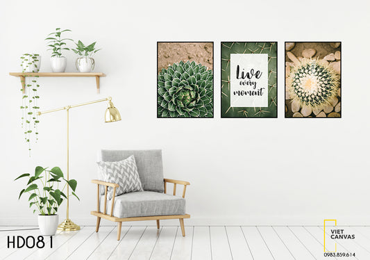 Bộ 3 Tranh Sen Đá, Xương Rồng Và Quotes Live Every Moment - HD081