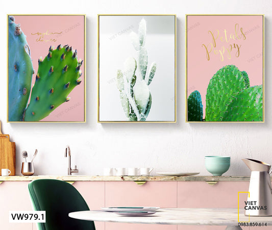 Bộ 3 Tranh Cây Xương Rồng - VW979.1