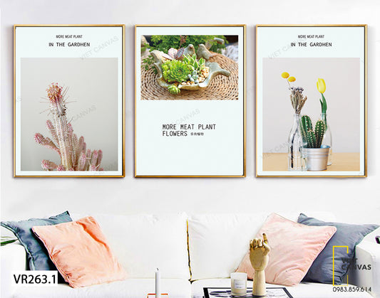 Bộ 3 Tranh Chậu Sen Đá Và Xương Rồng - VR263.1