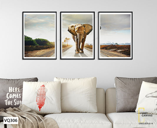 Bộ 3 Tranh Chú Voi - VQ306