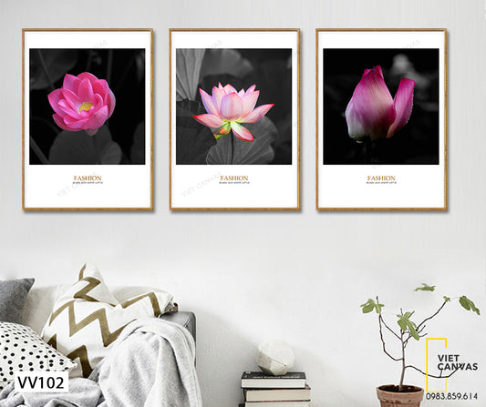 Bộ 3 Tranh Hoa Sen Nở Rộ - VV102