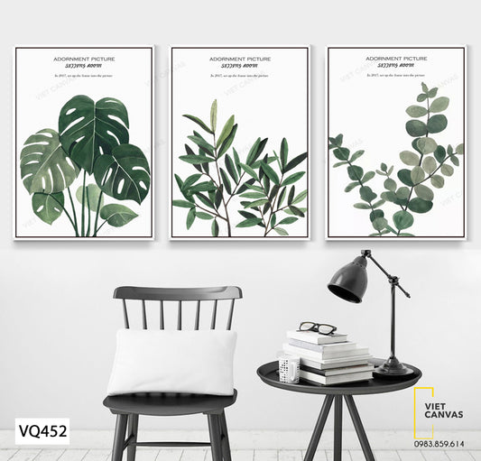 Bộ 3 Tranh Những Cành Lá Cây - VQ452