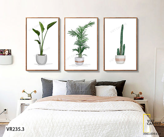 Bộ 3 Tranh Những Chậu Cây Cảnh - VR235.3