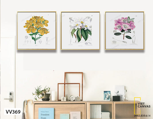 Bộ 3 Tranh Những Đóa Hoa - VV369