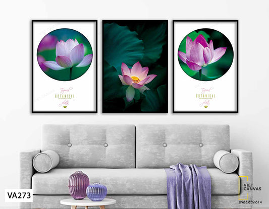 Bộ 3 Tranh Vẻ Đẹp Tinh Khiết Của Sen - VA273