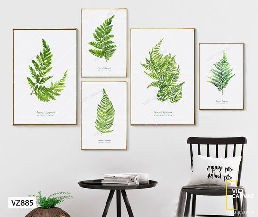 Bộ 5 Tranh Lá Cây - VZ885