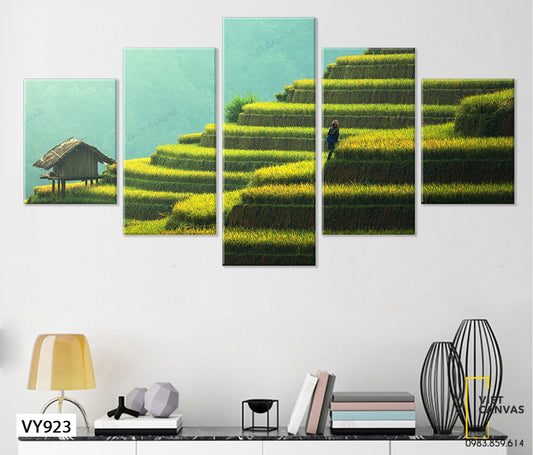 Bộ 5 Tranh Ruộng Bậc Thang - VY923