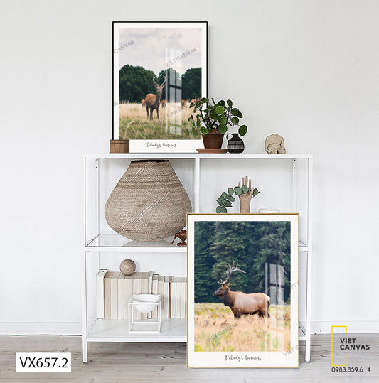 Bộ 2 Tranh Bầy Hươu Ở Trong Rừng - VX657.2