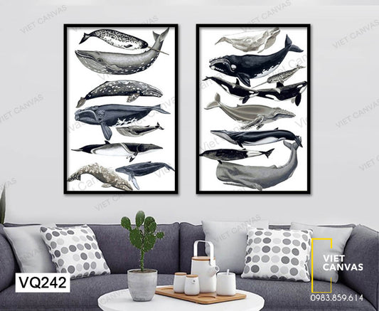 Bộ 2 Tranh Các Loài Cá Heo - VQ242