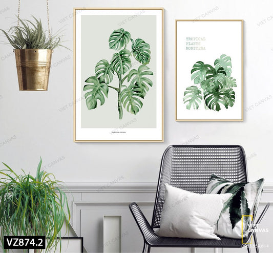 Bộ 2 Tranh Cây Monstera - VZ874.2