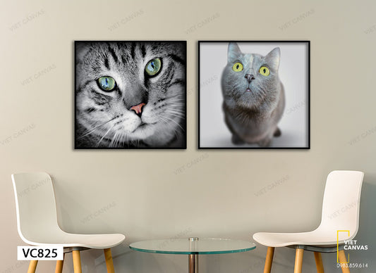 Bộ 2 Tranh Mèo Màu Xám - VC825