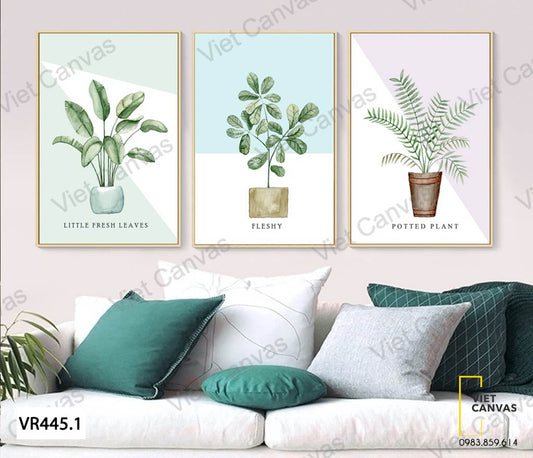 Bộ 3 Tranh Chậu Cây Xanh - VR445.1
