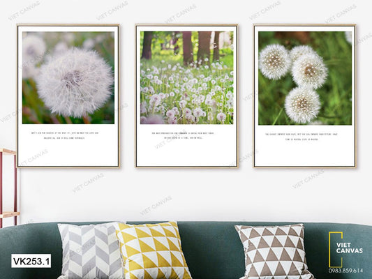 Bộ 3 Tranh Bồ Công Anh Nở Nhẹ Nhàng - VK253.1