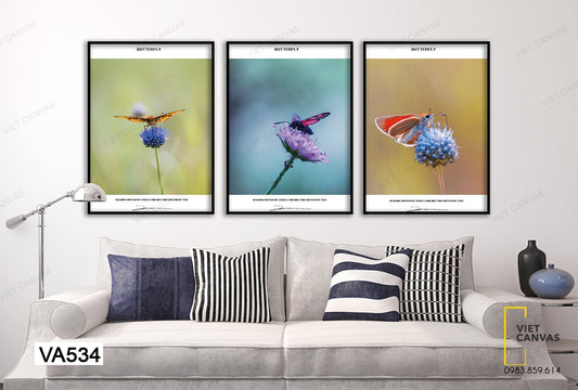 Bộ 3 Tranh Bông Hoa Ngọt Ngào - VA534