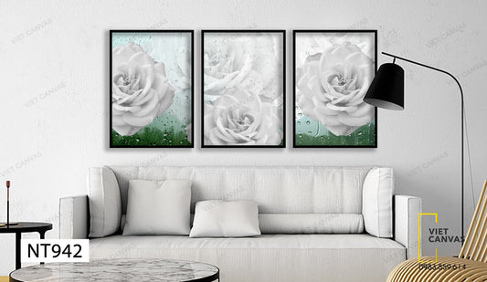 Bộ 3 Tranh Bông Hồng Trắng Quý Phái - NT942