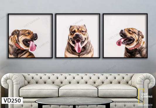 Bộ 3 Tranh Chân Dung Chó Pug - VD250