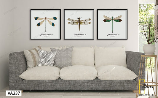 Bộ 3 Tranh Chú Chuồn Chuồn - VA237