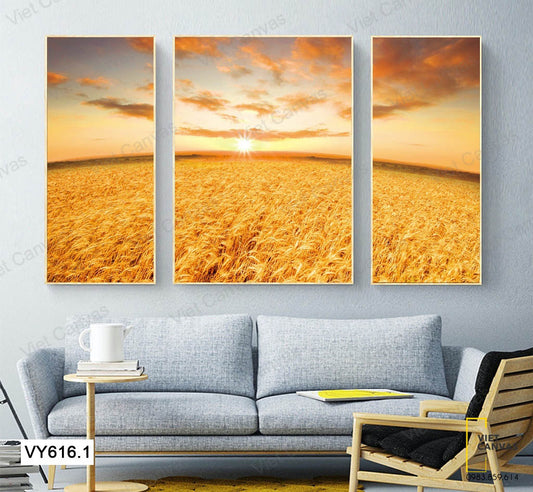 Bộ 3 Tranh Cánh Đồng Cỏ Vàng - VY616.1