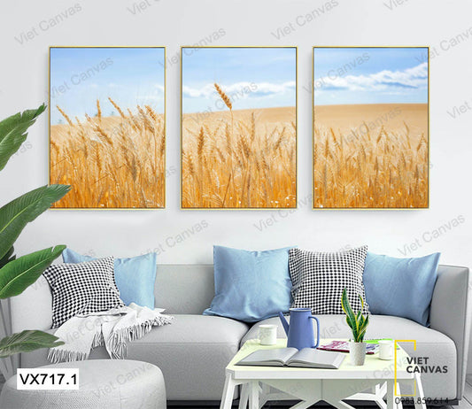 Bộ 3 Tranh Đồng Lúa Bát Ngát - VX717.1