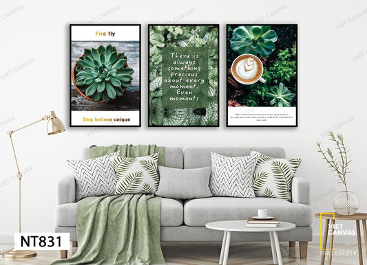 Bộ 3 Tranh Sen Đá, Lá Bèo Và Rong - NT831