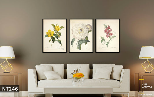 Bộ 3 Tranh Hoa Lá Nhẹ Nhàng - NT246