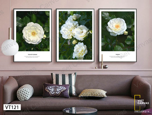 Bộ 3 Tranh Hoa Nhài Trắng - VT121
