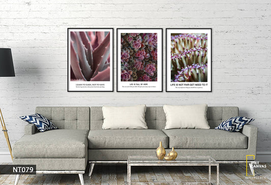 Bộ 3 Tranh Vườn Hoa Và Nha Đam - NT079