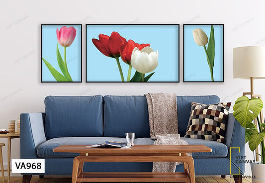 Bộ 3 Tranh Hoa Tulip Nở - VA968
