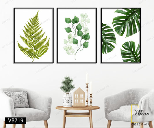 Bộ 3 Tranh Lá Cây Đa Dạng - VB719