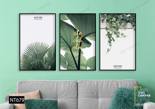 Bộ 3 Tranh Lá Cây Xanh - NT679