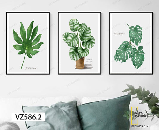 Bộ 3 Tranh Lá Cây Xanh Của Thiên Nhiên - VZ586.2