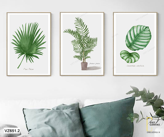 Bộ 3 Tranh Lá Cây Xanh Tươi - VZ651.2