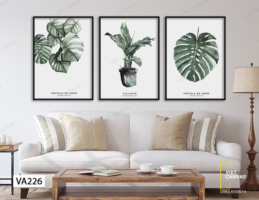Bộ 3 Tranh Lá Cây Xanh - VA226